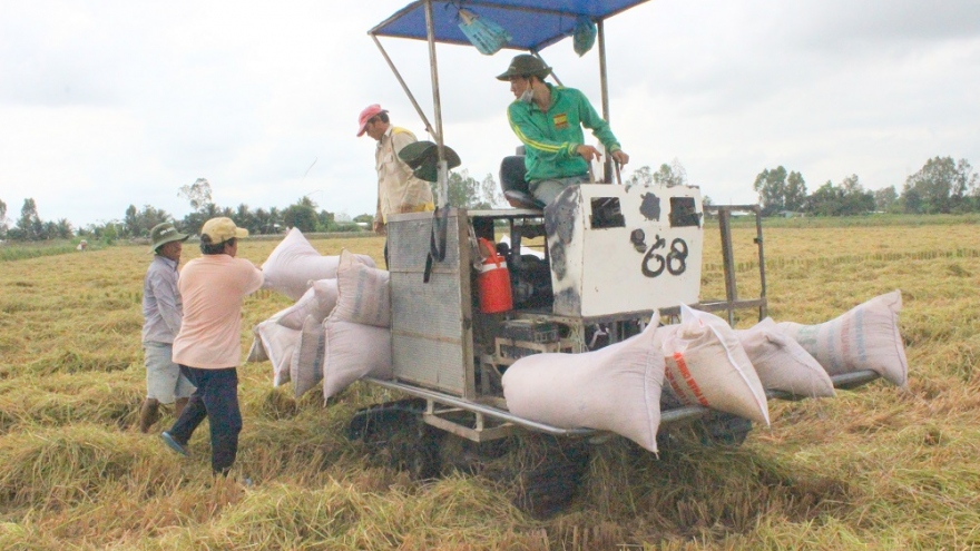 Giải pháp nào để gỡ khó cho doanh nghiệp xuất khẩu gạo